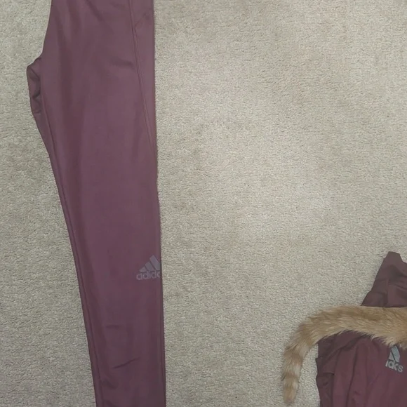 Adidas Woman's 3 Piect Set - Sports Bra, Leggings And Long Sleeve Shirt